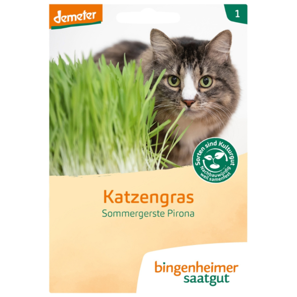 Bingenheimer Saatgut Katzengras, 60g Tüte